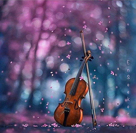 دانلود آهنگ حسرت علی رزاقی